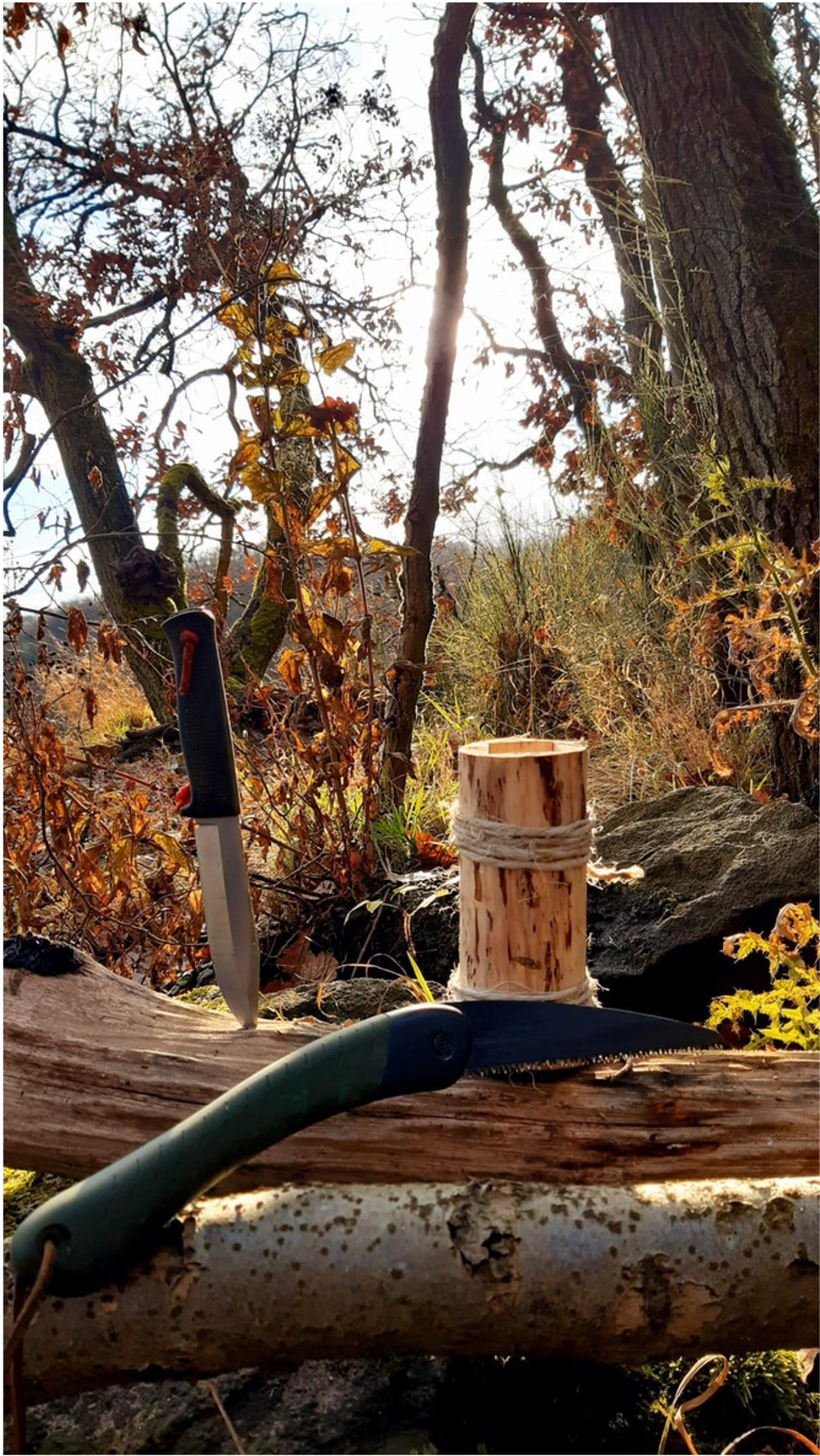 Outdoor woodland scene with a fixed knife stuck into a log and a rope-bound wooden stake nearby, plus a garden hose coiled on a log.