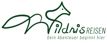 Logo for Midwi's Reisen featuring a green abstract horse head and stylized text, with the tagline 'Dein Abenteuer beginnt hier'